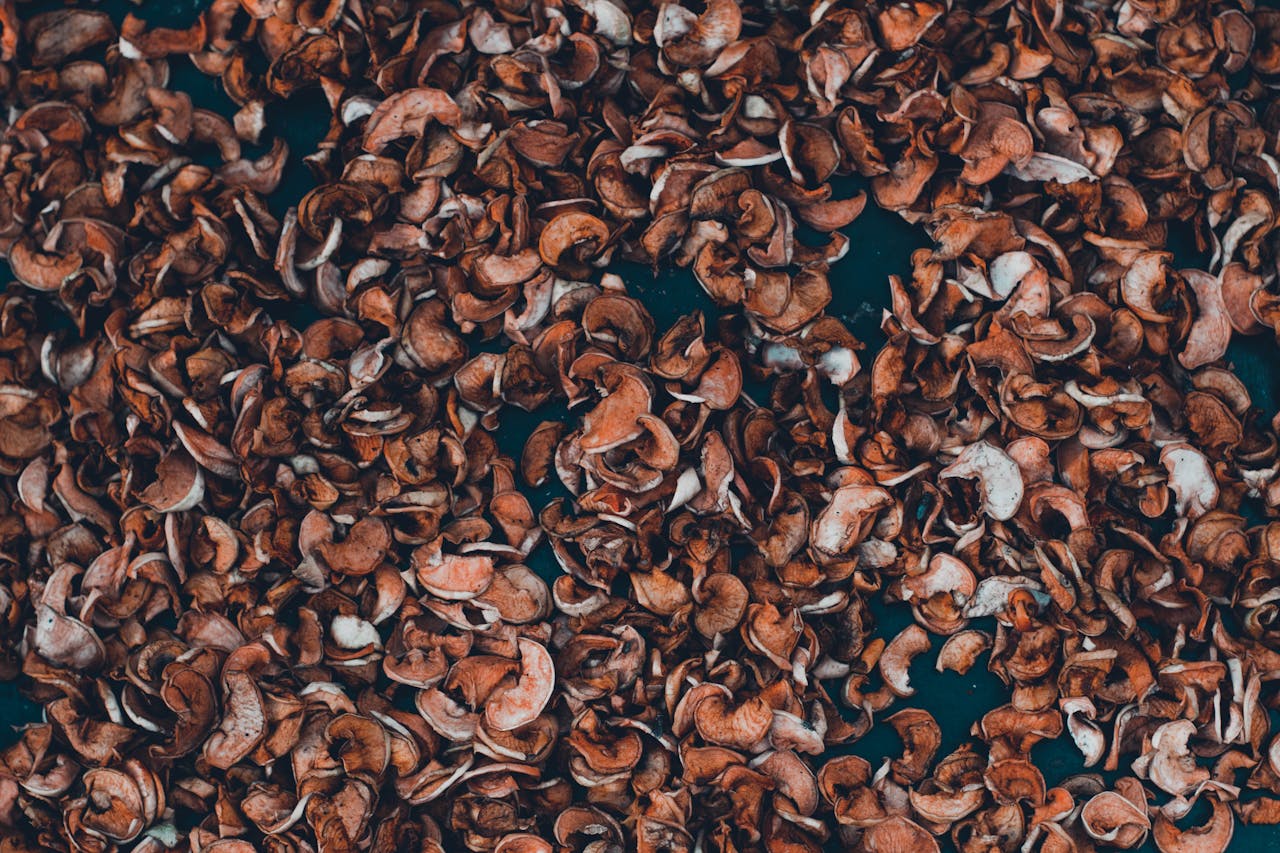 Pexels Photo 1696272
